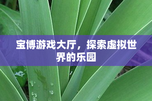 探索虚拟世界的乐园图片