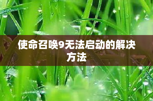 使命召唤9无法启动的解决方法图片