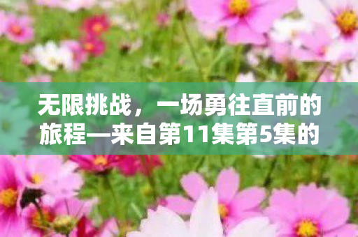 来自第11集第5集的记忆图片
