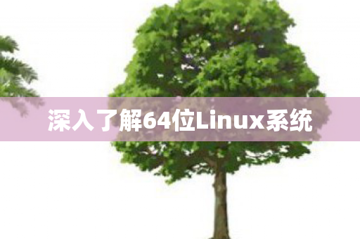 深入了解64位Linux系统图片