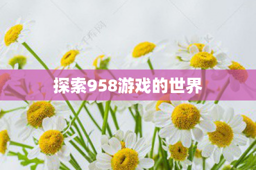 探索958游戏的世界图片