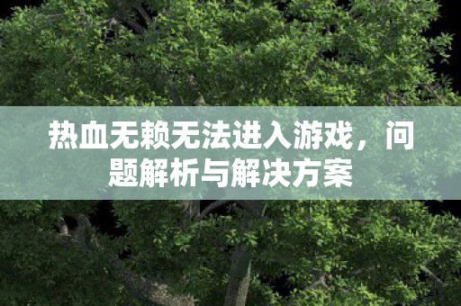 热血无赖无法进入游戏图片