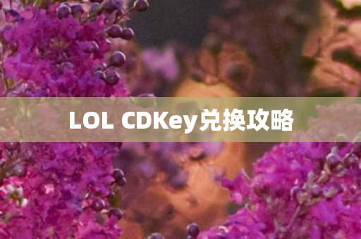LOL CDKey兑换攻略图片