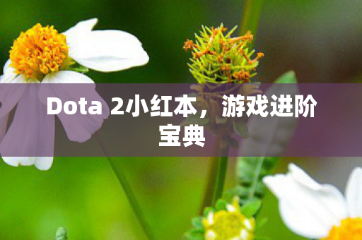 Dota 2小红本图片