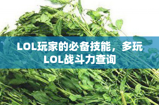 LOL玩家的必备技能图片