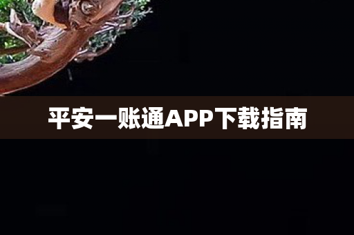 平安一账通APP下载指南图片