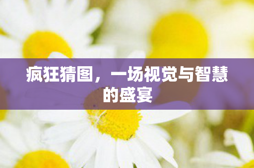 一场视觉与智慧的盛宴图片