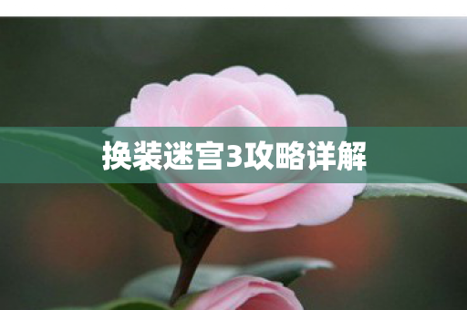 换装迷宫3攻略详解图片
