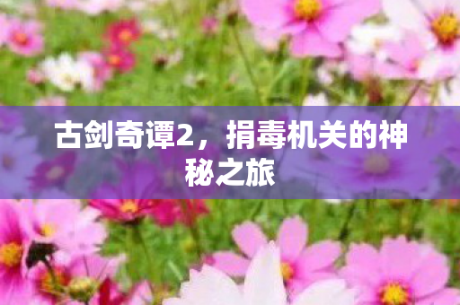 捐毒机关的神秘之旅图片