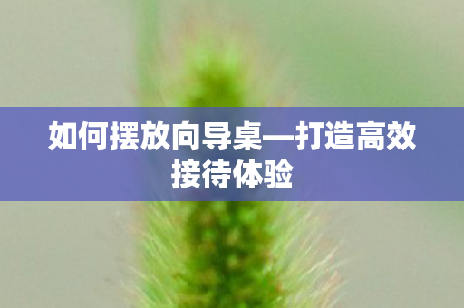 打造高效接待体验图片