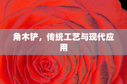 传统工艺与现代应用图片