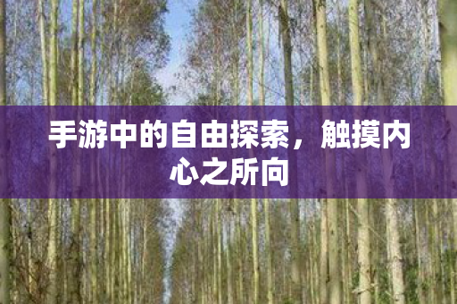 手游中的自由探索图片