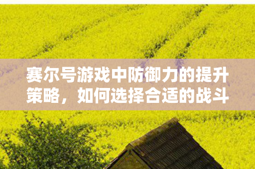 如何选择合适的战斗对象来增加防御力图片