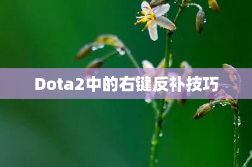 Dota2中的右键反补技巧图片