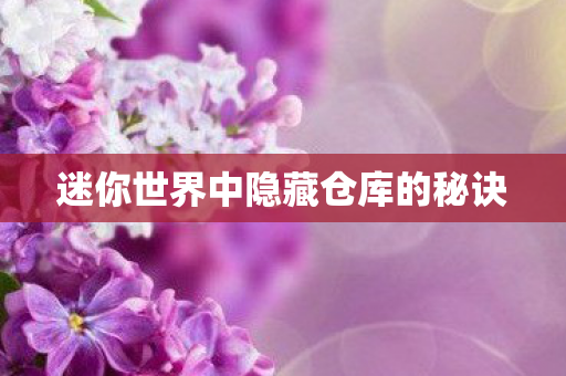 迷你世界中隐藏仓库的秘诀图片