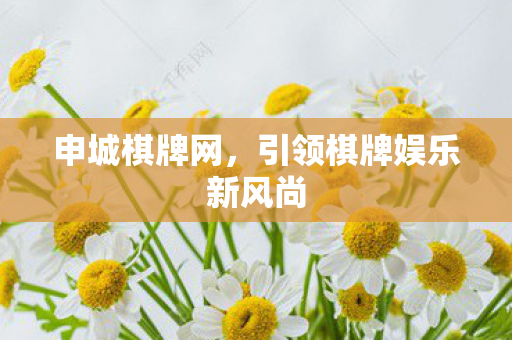 引领棋牌娱乐新风尚图片