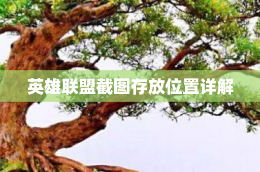 英雄联盟截图存放位置详解图片