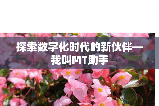 探索数字化时代的新伙伴图片