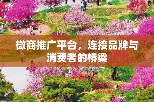 连接品牌与消费者的桥梁图片