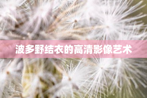 波多野结衣的高清影像艺术图片