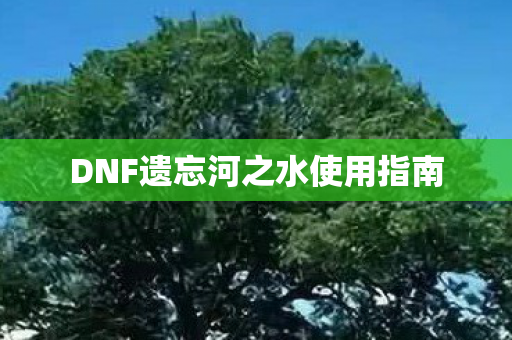 DNF遗忘河之水使用指南图片