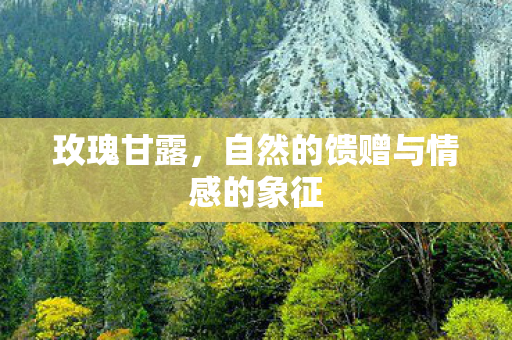 自然的馈赠与情感的象征图片