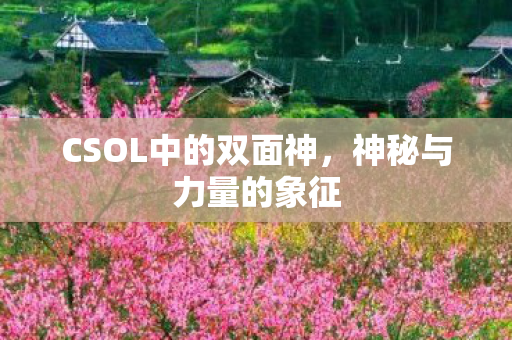 CSOL中的双面神图片
