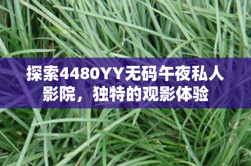 探索4480YY无码午夜私人影院图片