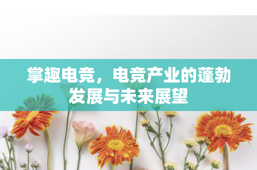 电竞产业的蓬勃发展与未来展望图片