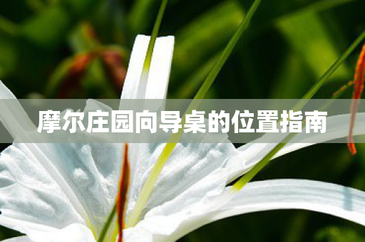 摩尔庄园向导桌的位置指南图片