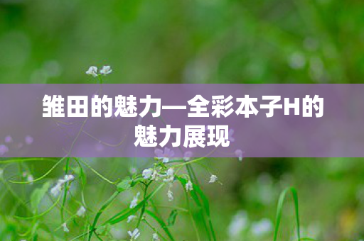 全彩本子H的魅力展现图片