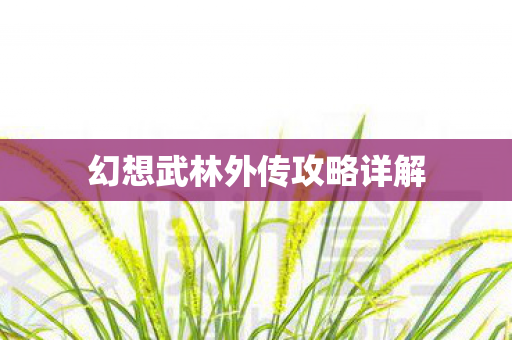 幻想武林外传攻略详解图片