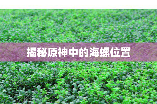 揭秘原神中的海螺位置图片