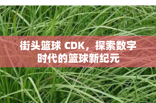 探索数字时代的篮球新纪元图片