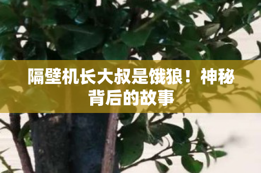隔壁机长大叔是饿狼图片