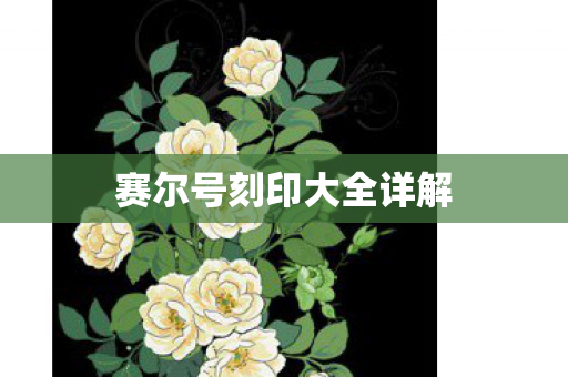 赛尔号刻印大全详解图片