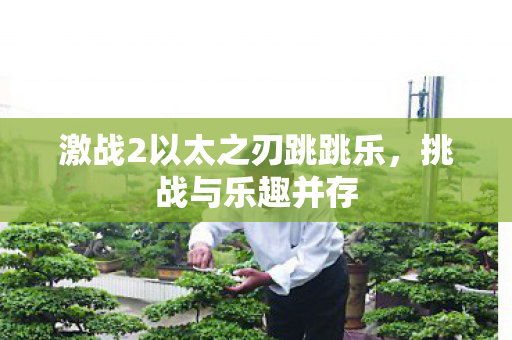 激战2以太之刃跳跳乐图片
