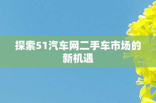 探索51汽车网二手车市场的新机遇图片