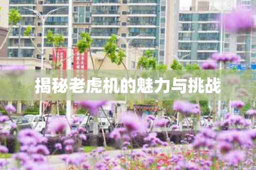 揭秘老虎机的魅力与挑战图片