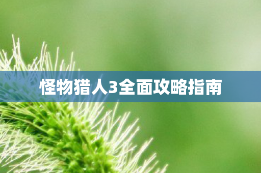 怪物猎人3全面攻略指南图片