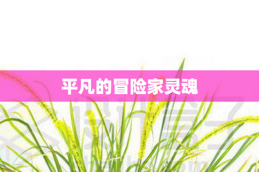 平凡的冒险家灵魂图片
