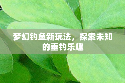 探索未知的垂钓乐趣图片