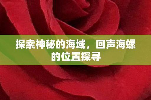 回声海螺的位置探寻图片
