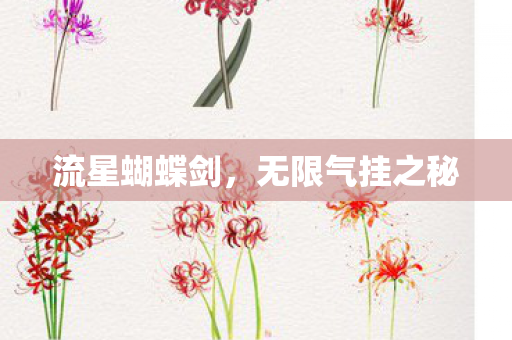 无限气挂之秘图片
