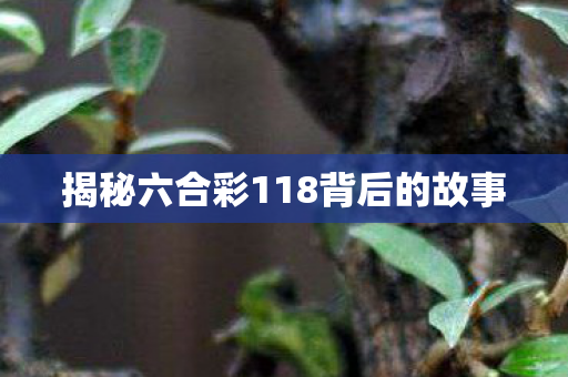 揭秘六合彩118背后的故事图片