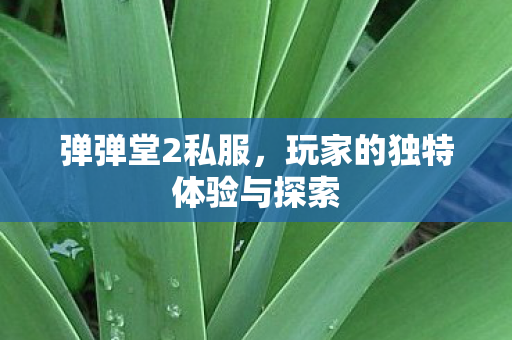 玩家的独特体验与探索图片