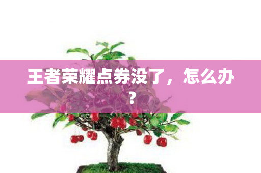 王者荣耀点券没了图片