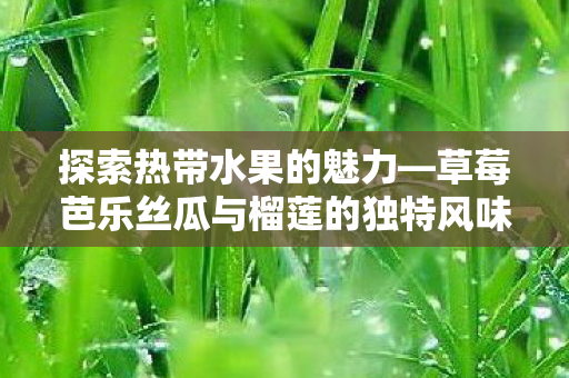 草莓芭乐丝瓜与榴莲的独特风味图片