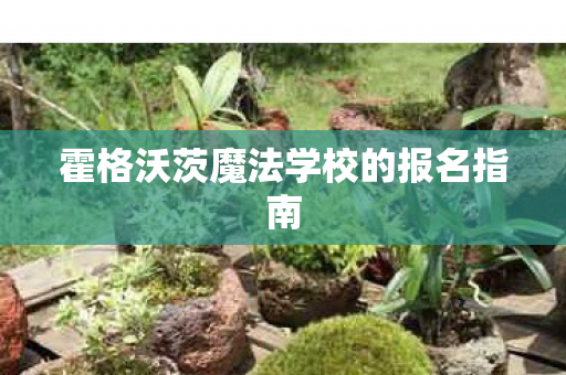 霍格沃茨魔法学校的报名指南图片
