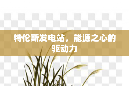 能源之心的驱动力图片